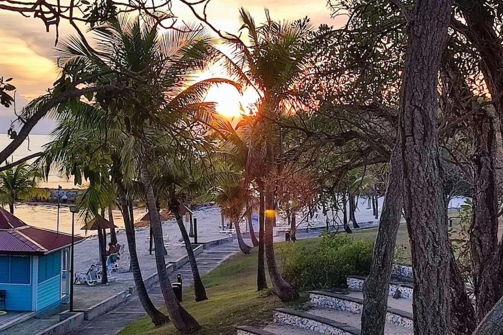 Studio Vue Mer Guadeloupe Sainte-Anne  Dış mekan fotoğraf