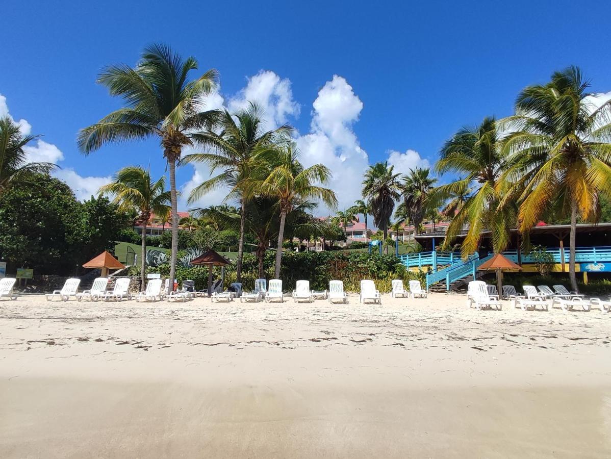 Studio Vue Mer Guadeloupe Sainte-Anne  Dış mekan fotoğraf