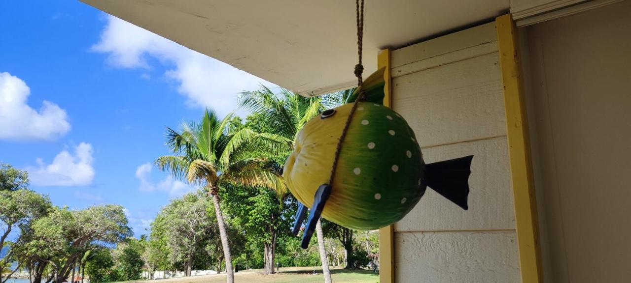 Studio Vue Mer Guadeloupe Sainte-Anne  Dış mekan fotoğraf